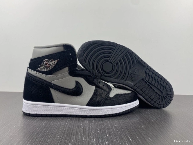 DZ2523-001 Twist 1 High 2.0 OG Air WMNS Jordan 1110